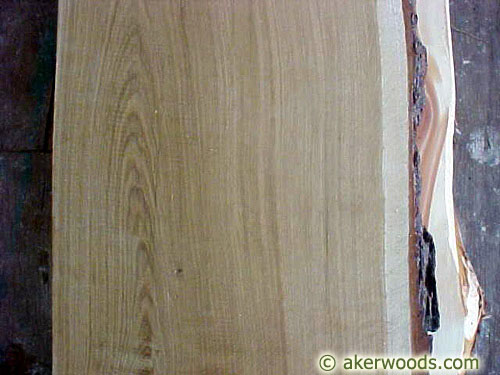 Picture of Bur Oak Wood