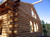 Raw House Logs