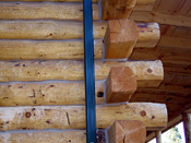 Raw House Logs