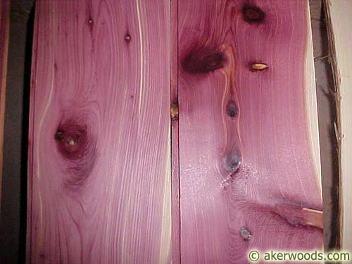 Picture of Red Cedar Flooring and Paneling