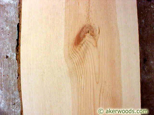Picture of Ponderosa Pine Wood