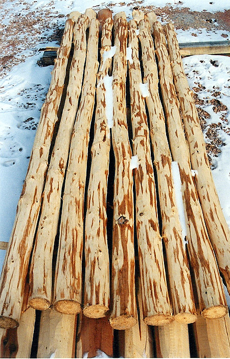 Picture of Hand-Peeled Ponderosa Pine Posts