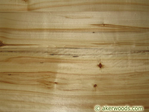 Picture of Quaking Aspen Wood